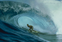 Are you a net-surfer, send me a mail